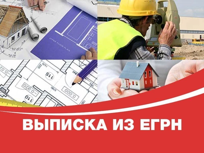 Кто выдает выписки из ЕГРН