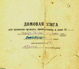 Домовая книга для частной семьи
