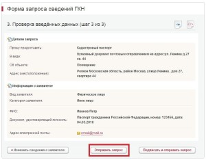 Шаг № 7: дважды проверьте заполненные данные
