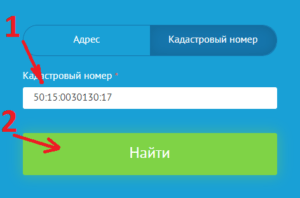 Заказ выписки из ЕГРН на земельный участок в Котаме, шаг №2. 2.1 - ввод кадастрового номера