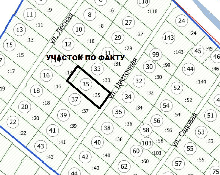Сюжет действительно