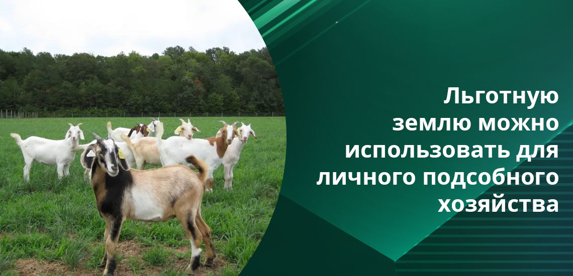 Сельскохозяйственная деятельность разрешена на земле, безвозмездно полученной государством