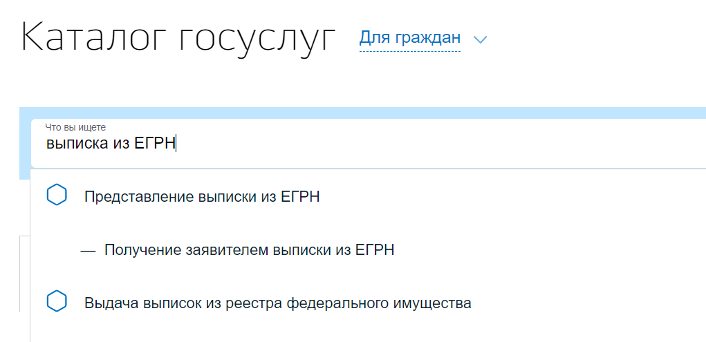 подача выписки из ЕГРН